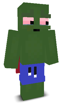 User's Minecraft appearance