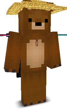 User's Minecraft appearance
