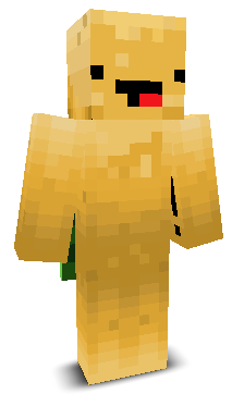 User's Minecraft appearance