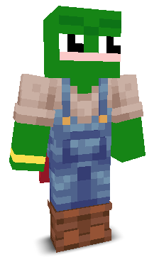 User's Minecraft appearance