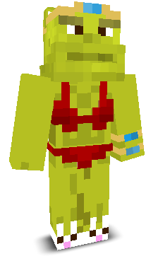 User's Minecraft appearance