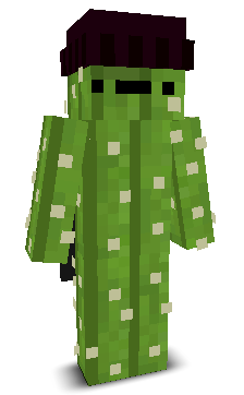User's Minecraft appearance