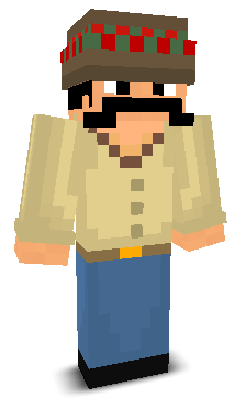 User's Minecraft appearance