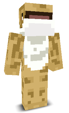 User's Minecraft appearance