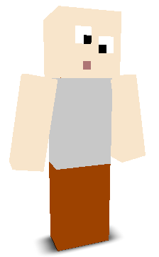 User's Minecraft appearance
