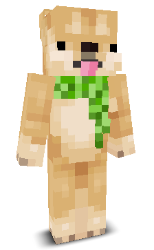 User's Minecraft appearance