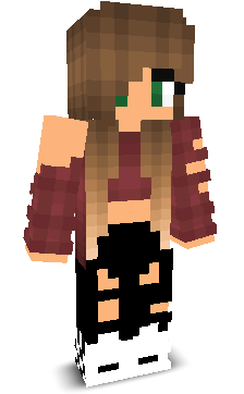 User's Minecraft appearance