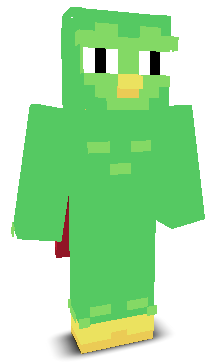 User's Minecraft appearance