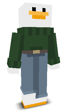 User's Minecraft appearance