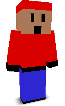 User's Minecraft appearance