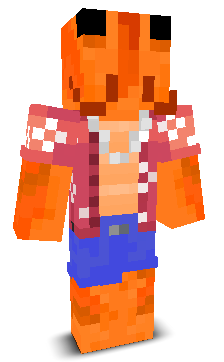 User's Minecraft appearance