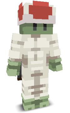 User's Minecraft appearance
