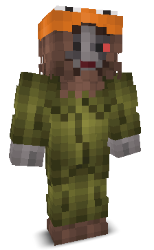 User's Minecraft appearance