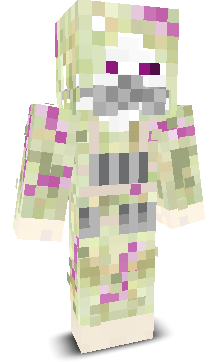 User's Minecraft appearance