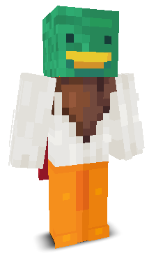 User's Minecraft appearance
