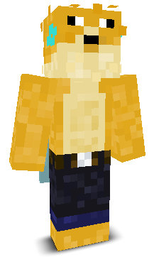 User's Minecraft appearance