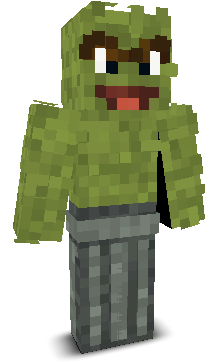 User's Minecraft appearance