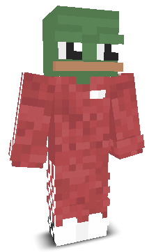 User's Minecraft appearance