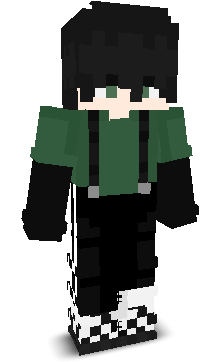 User's Minecraft appearance