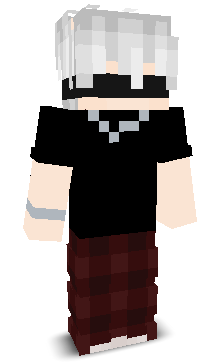 User's Minecraft appearance