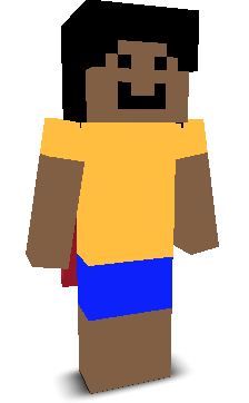 User's Minecraft appearance