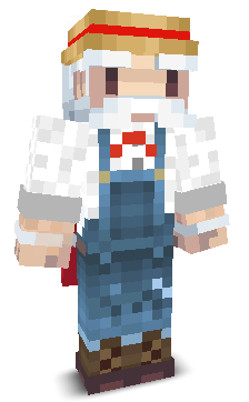 User's Minecraft appearance