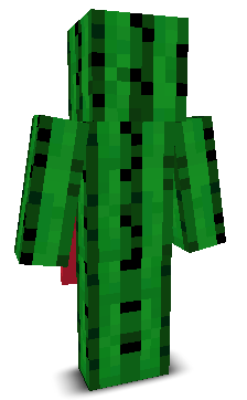 User's Minecraft appearance