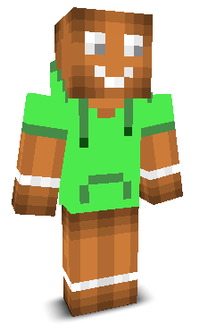 User's Minecraft appearance