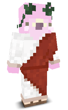 User's Minecraft appearance