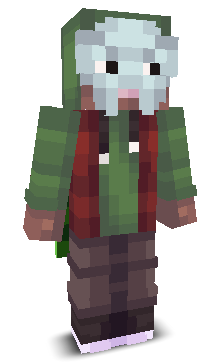 User's Minecraft appearance