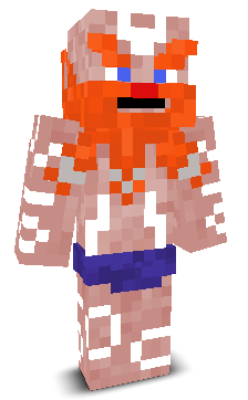 User's Minecraft appearance