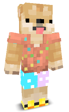User's Minecraft appearance