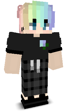 User's Minecraft appearance
