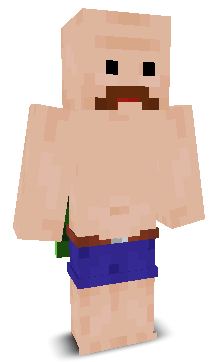 User's Minecraft appearance