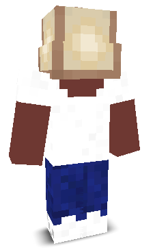User's Minecraft appearance