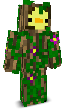 User's Minecraft appearance
