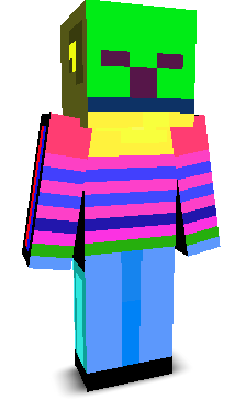 User's Minecraft appearance