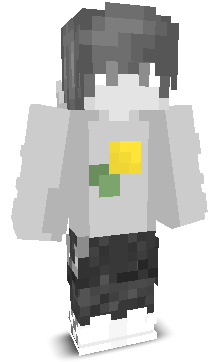 User's Minecraft appearance