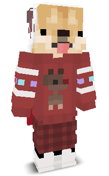 User's Minecraft appearance