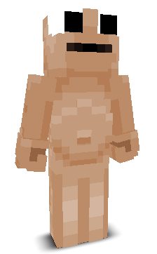 User's Minecraft appearance