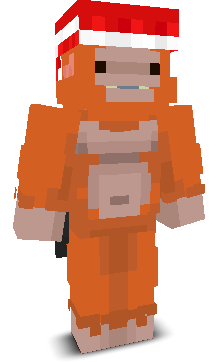 User's Minecraft appearance
