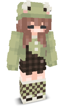 User's Minecraft appearance