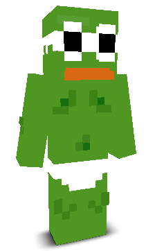 User's Minecraft appearance