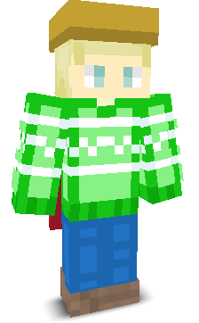User's Minecraft appearance