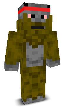 User's Minecraft appearance
