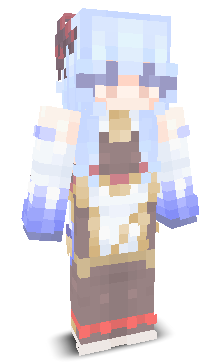 User's Minecraft appearance