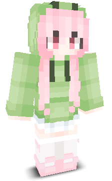 User's Minecraft appearance