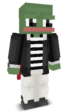 User's Minecraft appearance