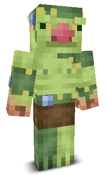 User's Minecraft appearance