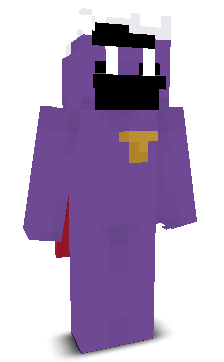 User's Minecraft appearance